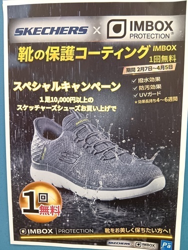 スペシャルキャンペーン🎵🎵🎵